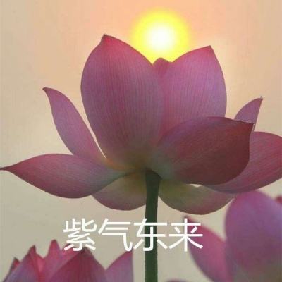 封神异世录正版手游下载
